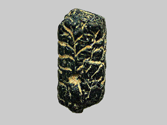 Augite - Le Sioulot - Olby - Puy-de-Dôme - FP - Taille 2mm