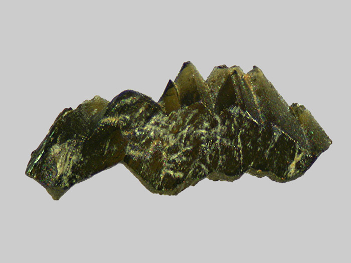 Taille 2,5mm Augite aciculaire - L_Ander - Roffiac - Cantal - FP - Taille 2,5mm.jpg