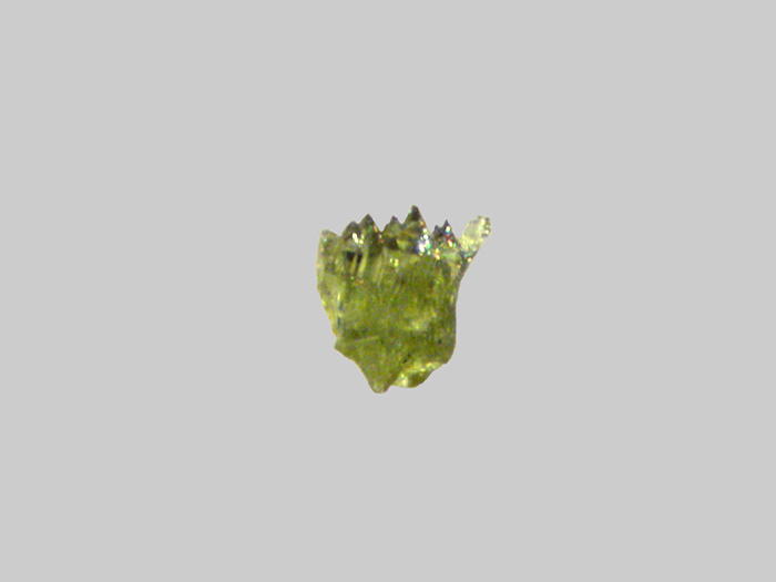 Augite aciculaire - La Loire - Gien - Loiret - FP - Taille 0,35mm - Augite aciculaire - La Loire - Gien - Loiret - FP - Taille 0,35mm.jpg Augite aciculaire - La Loire - Gien - Loiret - FP - Taille 0,35mm.jpg