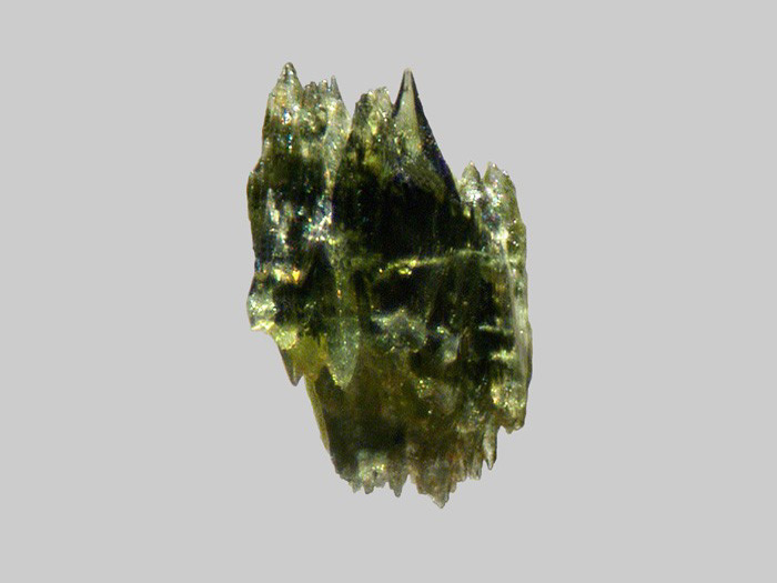 Augite aciculaire - La Trentaine - Picherande - Puy-de-Dôme - FP - Taille 0,8mm - Augite aciculaire - La Trentaine - Picherande - Puy-de-Dôme - FP - Taille 0,8mm.jpg Augite aciculaire - La Trentaine - Picherande - Puy-de-Dôme - FP - Taille 0,8mm.jpg
