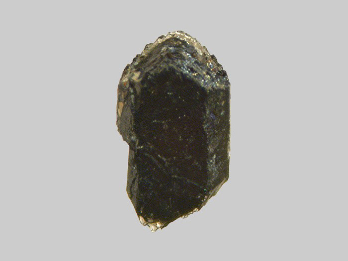Augite aciculaire - La Trentaine - Picherande - Puy-de-Dôme - FP - Taille 0,9mm.jpg