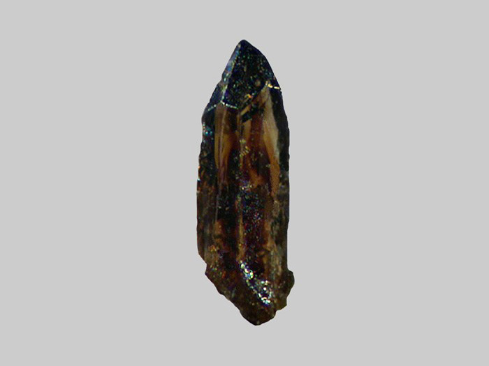Cassitérite - Le Sioulot - Olby - Puy-de-Dôme - FP