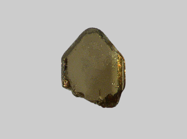 Enstatite-Ferrosilite (Série) - La Loire - Gien - Loiret - FP - Taille 0,4mm - Enstatite-Ferrosilite (Série) - La Loire - Gien - Loiret - FP - Taille 0,4mm.jpg Enstatite-Ferrosilite (Série) - La Loire - Gien - Loiret - FP - Taille 0,4mm.jpg