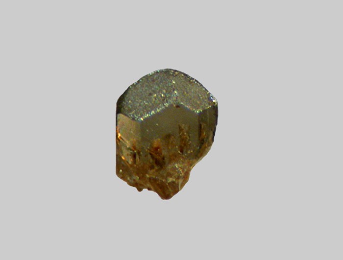 Enstatite-Ferrosilite (Série) - Le Sioulot - Olby - Puy-de-Dôme - FP - Taille 0,4mm - Enstatite-Ferrosilite (Série) - Le Sioulot - Olby - Puy-de-Dôme - FP - Taille 0,4mm.jpg Enstatite-Ferrosilite (Série) - Le Sioulot - Olby - Puy-de-Dôme - FP - Taille 0,4mm.jpg