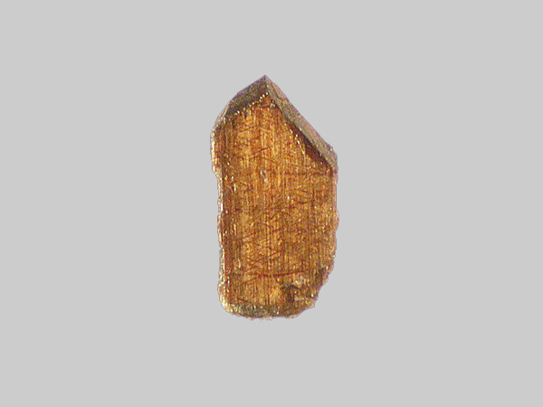 Enstatite-Ferrosilite (Série) - Ruisseau de Chevalard - Vernines - Puy-de-Dôme - FP - Taille 1,1mm - Enstatite-Ferrosilite (Série) - Ruisseau de Chevalard - Vernines - Puy-de-Dôme - FP - Taille 1,1mm.jpg Enstatite-Ferrosilite (Série) - Ruisseau de Chevalard - Vernines - Puy-de-Dôme - FP - Taille 1,1mm.jpg