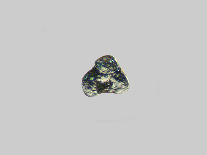 Galène - Gave d_Azun - Argelès-Gazost - Hautes-Pyrénées - FP - Taille 0,25mm.jpg