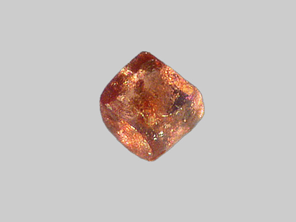Grenat - La Loire - Gien - Loiret - FP - Taille 0,3mm - Grenat - La Loire - Gien - Loiret - FP - Taille 0,3mm..jpg Grenat - La Loire - Gien - Loiret - FP - Taille 0,3mm..jpg
