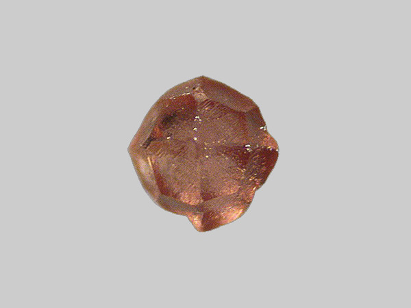 Grenat - La Loire - Gien - Loiret - FP - Taille 0,6mm - Grenat - La Loire - Gien - Loiret - FP - Taille 0,6mm.jpg Grenat - La Loire - Gien - Loiret - FP - Taille 0,6mm.jpg