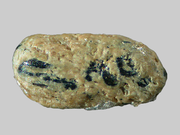 Leucoxène - Ilménite - Plage du Loch - Guidel-Plages - Morbihan - FP - Taille 1,4mm.jpg