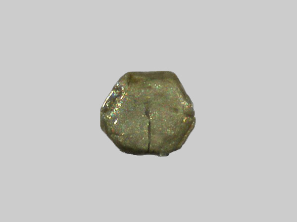 Leucoxène - La Loire - Gien - Loiret - FP - Taille 0,3mm.jpg
