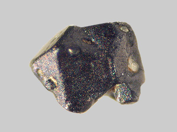 Magnétite - Ruisseau de Chareire - Picherande - Puy-de-Dôme - FP - Taille 0,9mm - Magnétite - Ruisseau de Chareire - Picherande - Puy-de-Dôme - FP - Taille 0,9mm.jpg Magnétite - Ruisseau de Chareire - Picherande - Puy-de-Dôme - FP - Taille 0,9mm.jpg