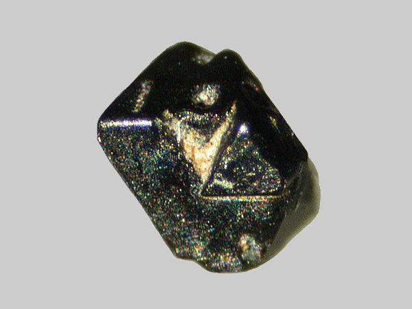 Magnétite - Ruisseau de Chareire - Picherande - Puy-de-Dôme - FP - Taille 1mm - Magnétite - Ruisseau de Chareire - Picherande - Puy-de-Dôme - FP - Taille 1mm.jpg Magnétite - Ruisseau de Chareire - Picherande - Puy-de-Dôme - FP - Taille 1mm.jpg