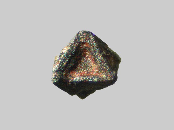 Magnétite - Ruisseau de Chevalard - Vernines - Puy-de-Dôme - FP - Taille 0,5mm - Magnétite - Ruisseau de Chevalard - Vernines - Puy-de-Dôme - FP - Taille 0,5mm.jpg Magnétite - Ruisseau de Chevalard - Vernines - Puy-de-Dôme - FP - Taille 0,5mm.jpg