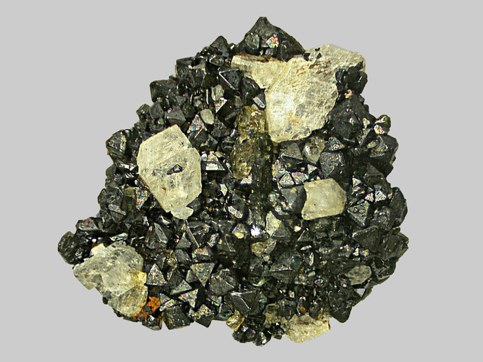 Magnétite - Sanidine - Titanite - Ruisseau du Val Blanc - Le Mont-Dore - Puy-de-Dôme - FP - Taille 4mm - Magnétite - Sanidine - Titanite - Ruisseau du Val Blanc - Le Mont-Dore - Puy-de-Dôme - FP - Taille 4mm.jpg Magnétite - Sanidine - Titanite - Ruisseau du Val Blanc - Le Mont-Dore - Puy-de-Dôme - FP - Taille 4mm.jpg