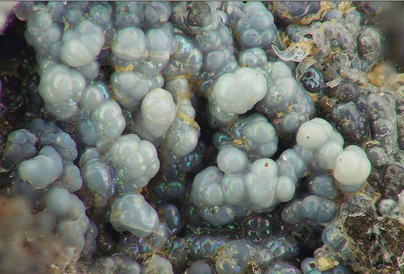 champ 8mm OPALE fumade AFM.jpg