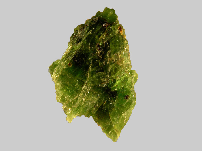 Pargasite - Rubis - Bois d_Antou - Saint-Ilpize - Haute-Loire - FP - Taille 20x8x6mm.jpg