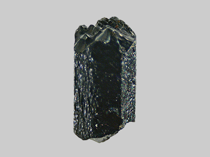 Pyroxène - La Cère - Thiézac - Vic-sur-Cère - Cantal - FP -Taille 2,1mm