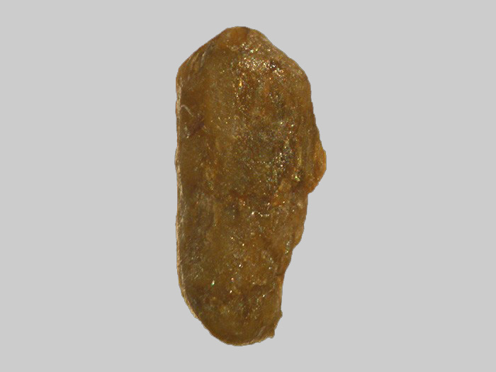 Staurolite - Ruisseau de Bouchassou - Ribeyre - Saint-Ilpize - Haute-Loire - FP - Taille 2mm - Staurolite - Ruisseau de Bouchassou - Ribeyre - Saint-Ilpize - Haute-Loire - FP - Taille 2mm.jpg Staurolite - Ruisseau de Bouchassou - Ribeyre - Saint-Ilpize - Haute-Loire - FP - Taille 2mm.jpg