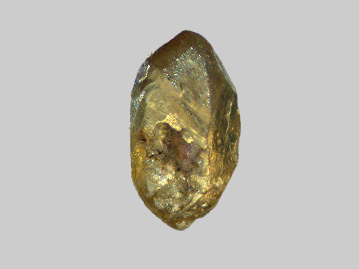 Xénotime - Ruisseau de Caule - Saint-Ilpize - Haute-Loire - FP - Taille 1mm - Xénotime - Ruisseau de Caule - Saint-Ilpize - Haute-Loire - FP - Taille 1mm.jpg Xénotime - Ruisseau de Caule - Saint-Ilpize - Haute-Loire - FP - Taille 1mm.jpg