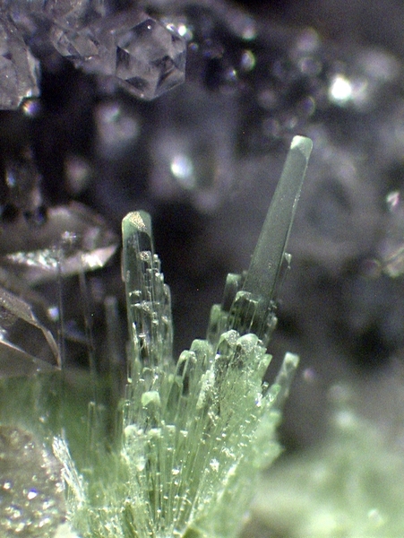 Minuylite  -  La Floquerie  - Pannecé - Loire-Atlantique
