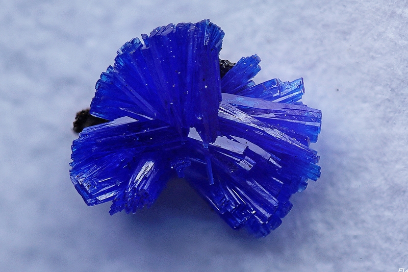 linarite La Fonderie Poullaouen Finistère L.G.  cristal 2,1mm (Copier).jpg