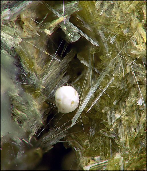 Kaolinite cassagne 10104 AFM.jpg