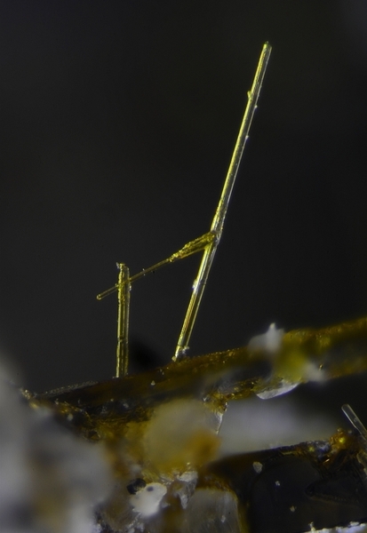 Esseneite - Lapanouse de Sévérac - Aveyron - JCD - Champ 1,1 mm.jpg