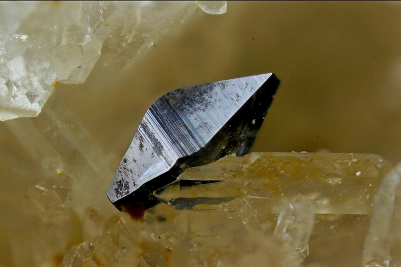 Anatase Castel Ruphel 29 St-Goazec LG  fov 1,7mm.jpg