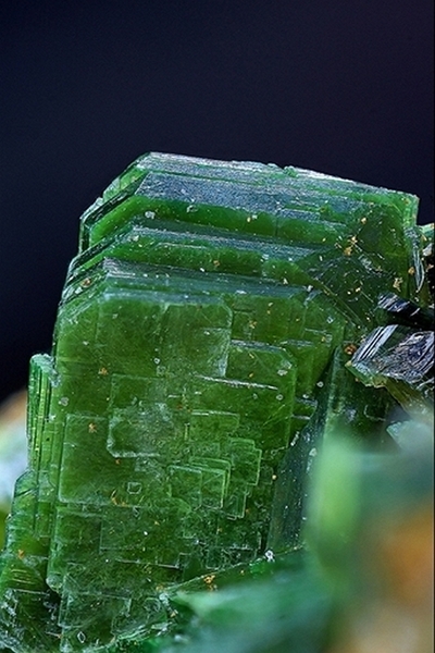metatorbernite 2 lignol fov 2,6mm.jpgb (Copier AFM).jpg