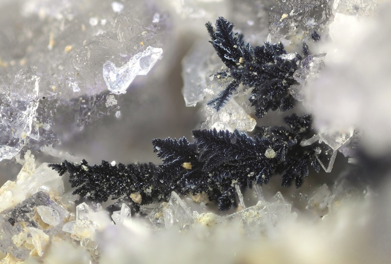 Covellite - Propières - Beaujeu - Rhône