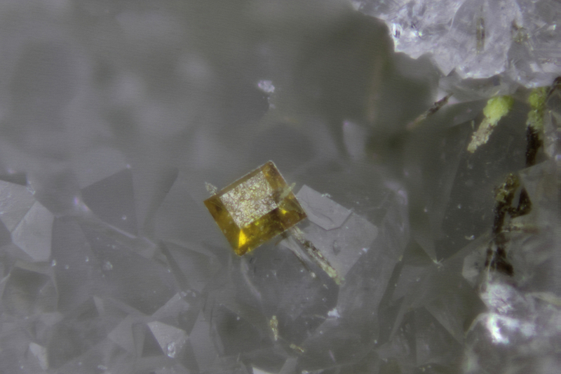 Petitjeanite_Dambach_Bas-Rhin_TB_champ 1mm.jpg