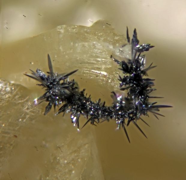 acanthite 9655 (4) champ 0,6mm.jpg
