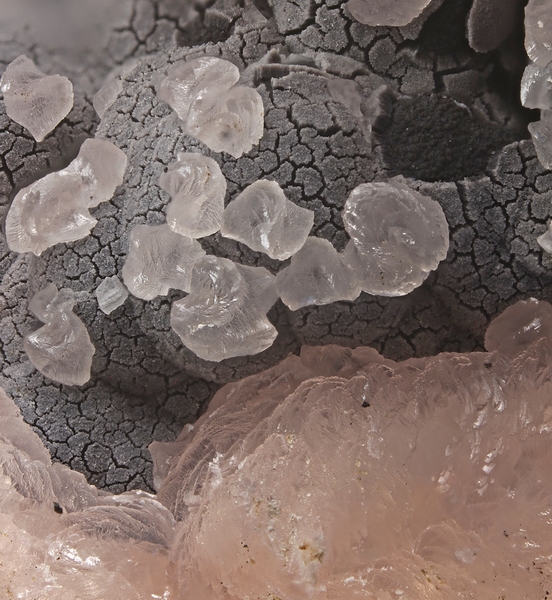calcite (mangano) 5418 champ 3,4mm.jpg