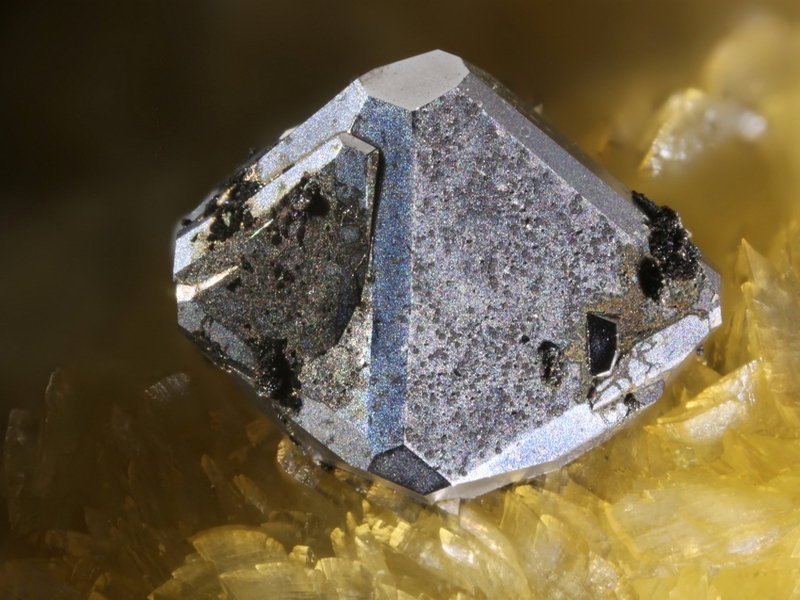galene 9605,champ 3,7mm.jpg
