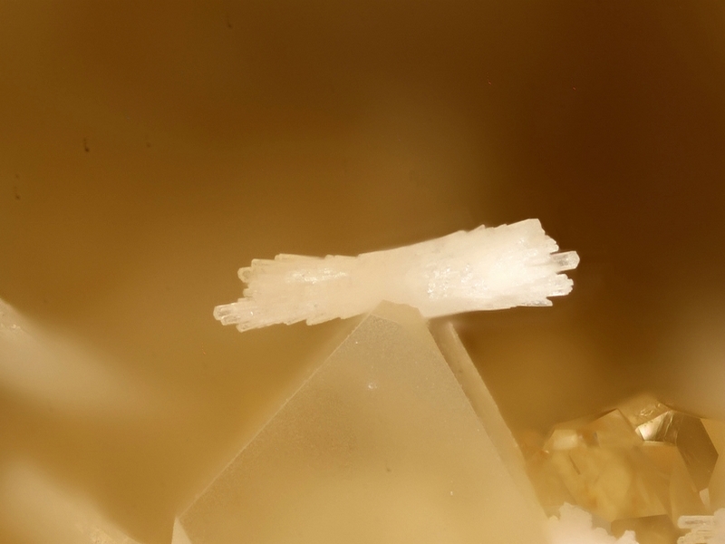 mimetite 6111(analysée),champ1,4mm.jpg
