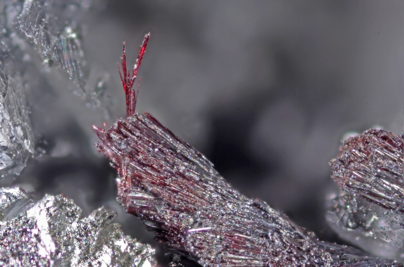 kermesite bob,champ 1,7mm-site.jpg