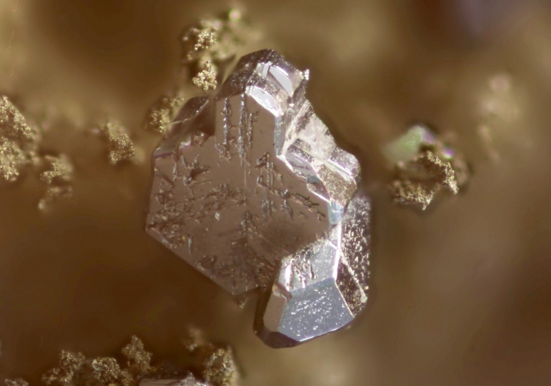 CJ.Stéphanite rivet,champ 1,6mm.jpg