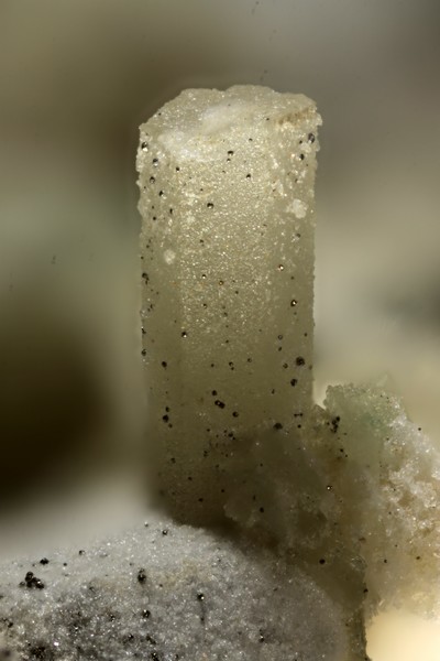 131018-scapolite-GB-chp 2 mm.jpg