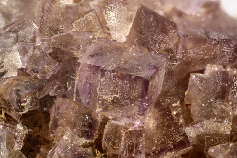 champ 10,5mm
Donateur : Jean-Claude Coureau
164013-fluorite-GB-chp 10,5mm.jpg