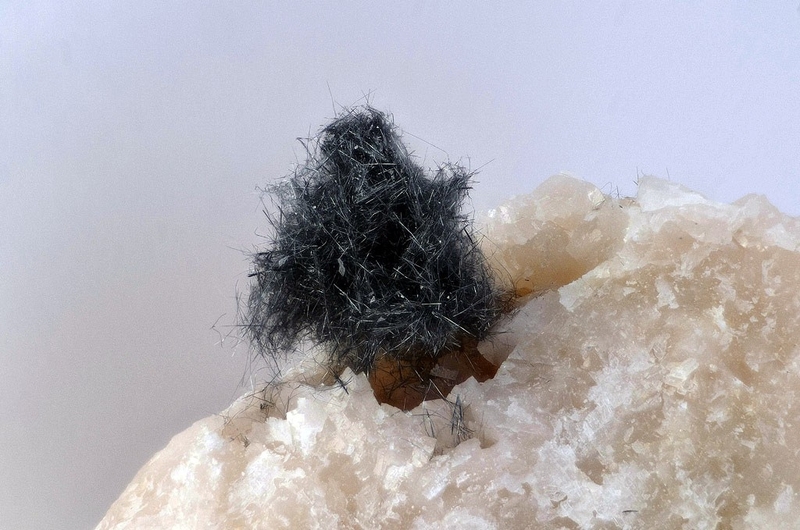 N°2346 Boulangerite Peyrebrune Rivet Carrière Montredon-Labessonnié Tarn France - Champ 10mm.JPG