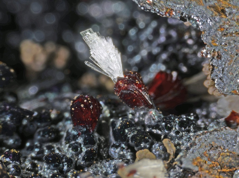 N°6956 Hemimorphite Rivet Carrière - Peyrebrune - Montredon-Labessonnié - Tarn - France- Champ 5mm.JPG