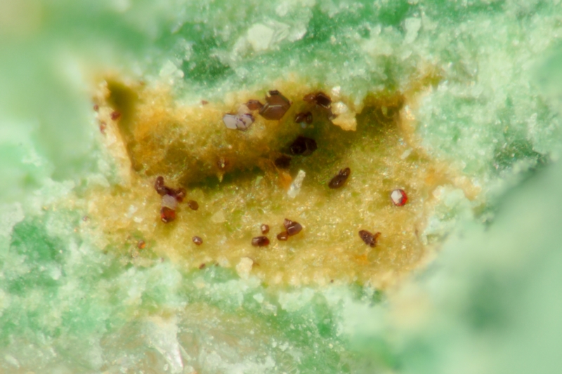 Iltisite_Cap Garonne, LA Pradet, Var_0,4mm_ENSMP-AFM 183079_FF.jpg