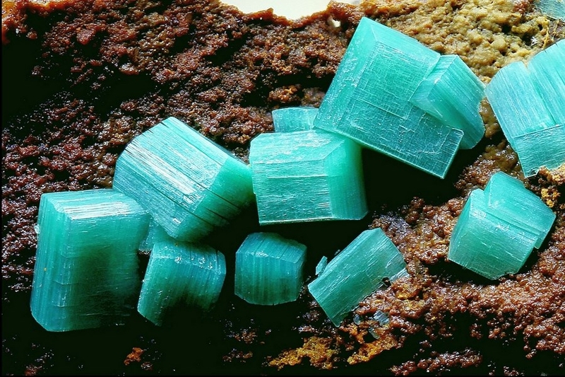 Métatorbernite La Faye Grury Saöne et Loire LG  3mm.jpg