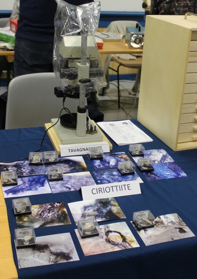 la Ciriottiite, un nouveau minéral découvert à Tavagnasco Montmain2016-2.JPG