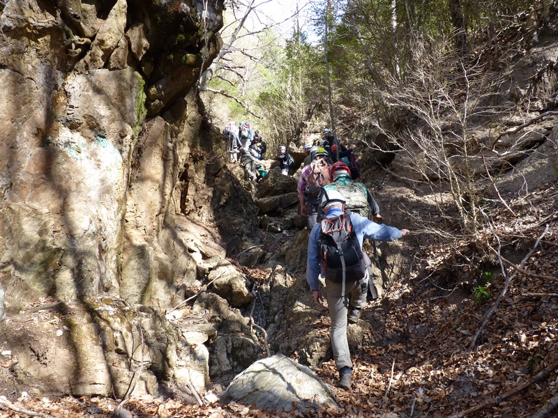 Rocabruna 14 avril 2016 (16).JPG