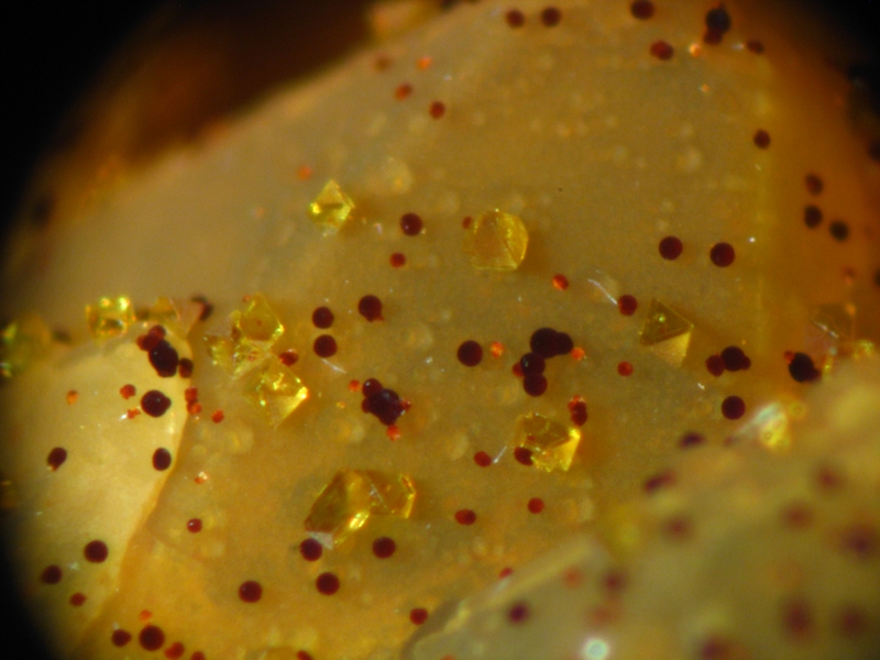 163200-Beudantite Carminite - Roffin.jpg