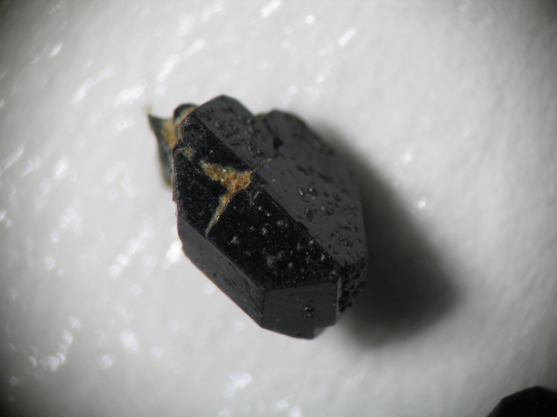 Donateur : Jean-Luc Designolle 163225-Augite - Montcineyre.jpg