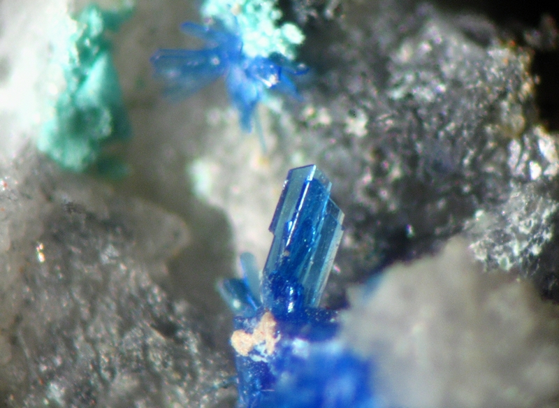 169131-linarite La Verrière.jpg