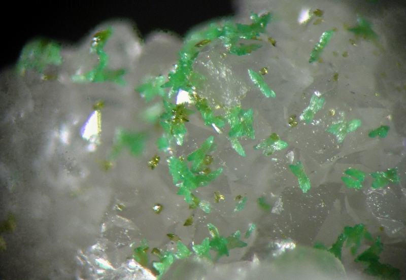 169139-bayldonite Oncins - 69.jpg