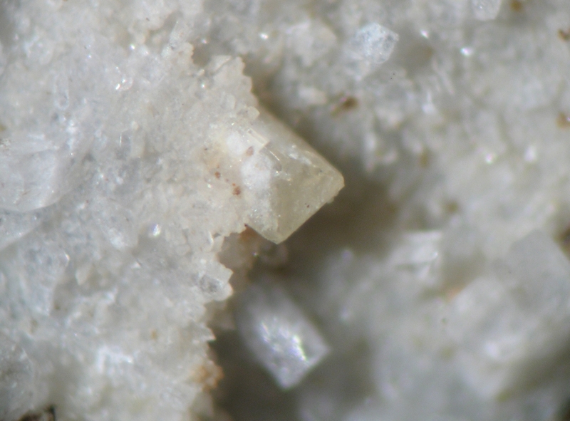 173078-Kainosite - Invernet.jpg
